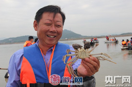 白荡湖大闸蟹正式开捕