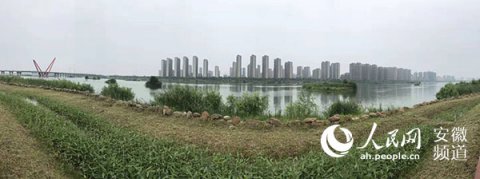 六安市“驻颜有方” 淠河湿地换新妆