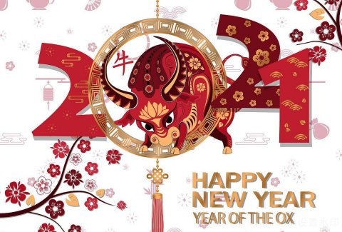 【新春祝福】徽网给您拜年啦! 恭祝大家牛年吉祥！